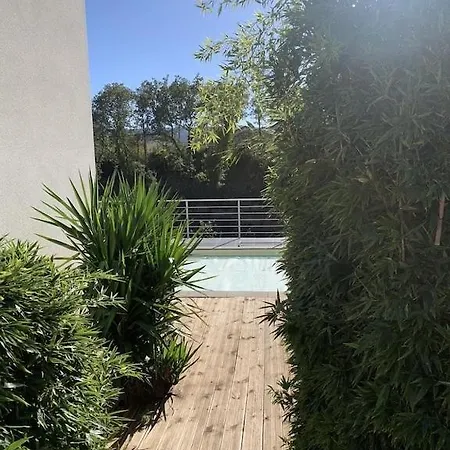 Contemporaine, Jardin Mediterraneen Et Piscine Privee